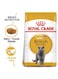 Royal Canin British Shorthair Adult Cat Food - 10kg