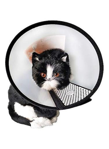 Dog Cone Adjustable Cat Recovery Collar Anti-Bite Lick E-Collar Translucent Frosted (Black, 6#)