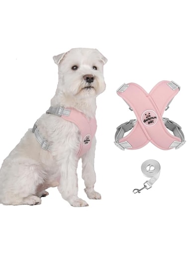 GEPAS Dog Harness No Pull, Reflective Cat Walking Harness, No Choke Front Clip Dog Harness Made of Mesh, Adjustable Buckle Pet Vest with Easy Control Leashes for Small Dogs, Cats, Chest 38-46CM Pink S