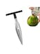 Opener Tool Coconut Opener Stainless Steel Coconut Opener Tool for Young Thai Green Fresh Coconut Water