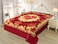 STARLIFE Double Ply Premium Quality Blanket 100% Polyester SPUN YARN Obtained From Virgin Polyester Suitable For Winter And Rainy Season 11 LB, SL-BL4403