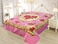 STARLIFE Double Ply Premium Quality Blanket 100% Polyester SPUN YARN Obtained From Virgin Polyester Suitable For Winter And Rainy Season 11 LB, SL-BL4403