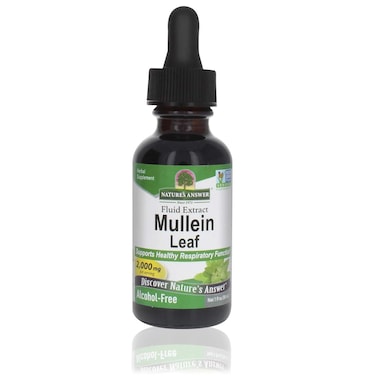 Natures Answer AlcoholFree Mullein Leaf 1oz Extract  Herbal Supplement  Supports Respiratory Function  Mucous Membranes  NonGMO Kosher GlutenFree  Single Count