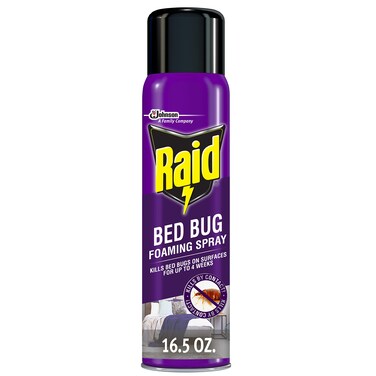 RaidBed Bug Foaming Spray Kills Bed Bugs and Their Eggs for Indoor Use NonStaining Keeps Killing for Weeks 165 oz Pack of 1