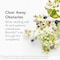 Biocidin Liquid Formula  Gut Cleanse Process  Immune Support Supplement  Supportive Biofilm Disruptor to Promote Digestive Health  Microbial Balance  18 Botanical  Essential Oil Blend 1 oz