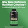 Optimum NutritionMicronized Creatine Monohydrate Capsules Keto Friendly 2500mg 300 Capsules Packaging May Vary