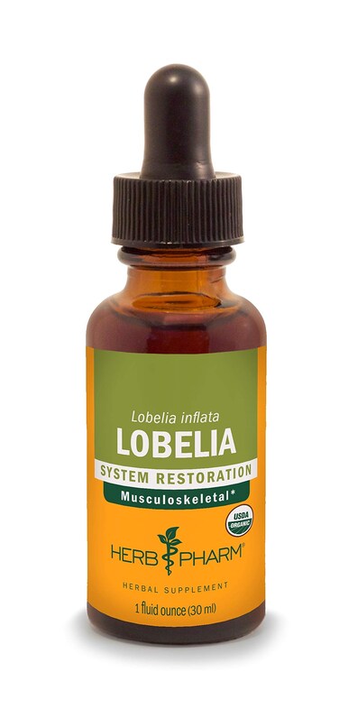 Herb Pharm Certified Organic Lobelia Liquid Extract for Musculoskeletal System Support  1 Ounce DLOBEL01