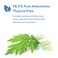 Allergy Research GroupArtemisinin Supplement  GI Tract Support Pure Qinghaosu from Artemisia annua ThujoneFree Hypoallergenic Vegetarian Capsules  90 Count