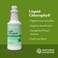 Natures SunshineLiquid Chlorophyll  Immunity Support Detox  Cleanse Chlorophyll Liquid Drops with Spearmint Oil Natural Energy Boost Internal Deodorant  16 Fl Oz