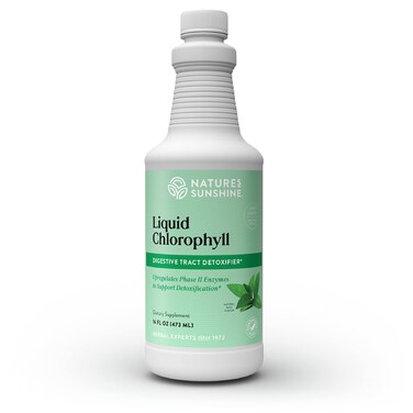 Natures SunshineLiquid Chlorophyll  Immunity Support Detox  Cleanse Chlorophyll Liquid Drops with Spearmint Oil Natural Energy Boost Internal Deodorant  16 Fl Oz
