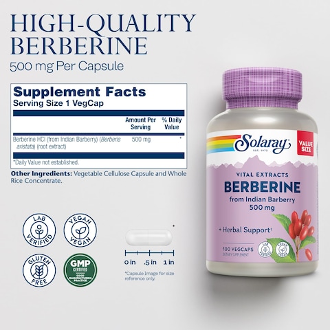 SOLARAY Berberine 500mg  Berberine Supplement for a Healthy Active Lifestyle  With Berberine HCl from Indian Barberry  Vegan NonGMO 60Day Guarantee Lab Verified  100 Servings 100 VegCaps