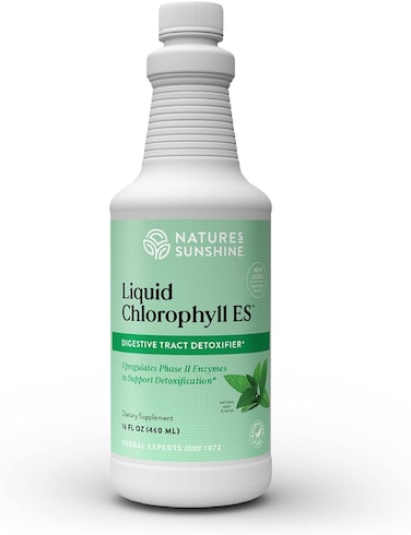 Natures SunshineLiquid Chlorophyll Extra Strength  Immunity Support Detox  Cleanse Chlorophyll Liquid Drops with Spearmint Oil Natural Energy Boost Internal Deodorant  16 Fl Oz