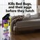 Raid Max Bed Bug Crack  Crevice Extended Protection Foaming Spray Kills Bed Bugs for up to 8 weeks on Laminated Woods and Surfaces 175 oz
