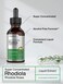 Horbach Rhodiola Rosea Supplement  2 fl oz Tincture  Alcohol Free Extract  Super Concentrated Root Liquid  Vegetarian NonGMO Gluten Free