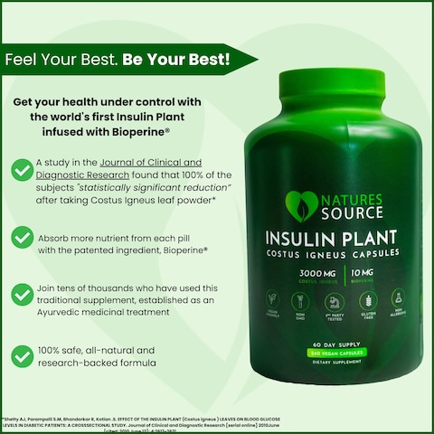 Natures Source Insulin Plant Capsules Costus Igneus  Complete Health Management Program Including Costus Igneus Capsules Cookbook Diet  Workout Plan  60 Day Supply  Made in The USA