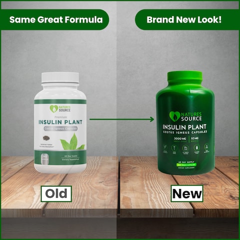 Natures Source Insulin Plant Capsules Costus Igneus  Complete Health Management Program Including Costus Igneus Capsules Cookbook Diet  Workout Plan  60 Day Supply  Made in The USA