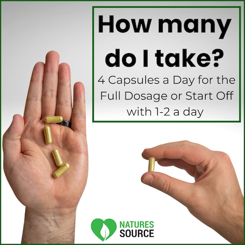 Natures Source Insulin Plant Capsules Costus Igneus  Complete Health Management Program Including Costus Igneus Capsules Cookbook Diet  Workout Plan  60 Day Supply  Made in The USA