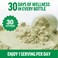 Force FactorSmarter Greens Daily Wellness Powder Greens Superfood Powder to Support Gut Health Bloating  Digestion with 40 Superfoods 125 Million CFUs of Probiotics Unflavored 30 Servings