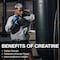 RAW Nutrition Creatine Monohydrate Powder Unflavored 30 Servings  Micronized Creatine Monohydrate Supplement for Workout Performance Build Muscle  Strength  Creatine Powder for Men  Women
