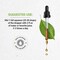 Secrets of the Tribe Cordyceps Tincture AlcoholFree Extract Cordyceps Cordyceps Sinensis Vitality and Stamina 2 oz