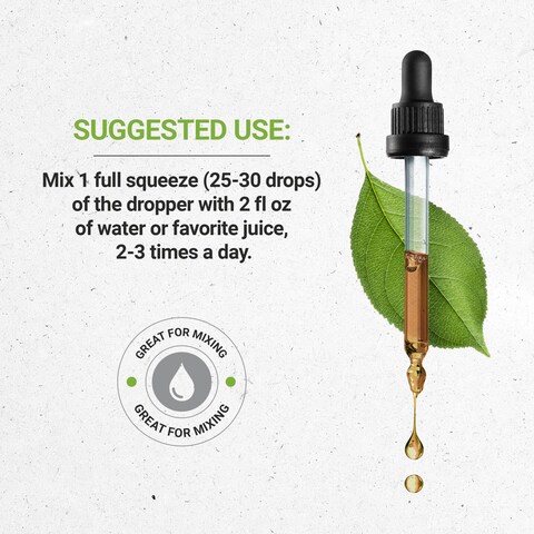Secrets of the Tribe Cordyceps Tincture AlcoholFree Extract Cordyceps Cordyceps Sinensis Vitality and Stamina 2 oz