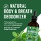 360 Nutrition Chlorophyll Liquid Drops with Peppermint Oil GF  Vegan Body Internal Deodorant Supplement Supports Gut Health Digestion Energy Radiant Skin Fast Absorption 4 Fl Oz 1 Count