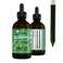 360 Nutrition Chlorophyll Liquid Drops with Peppermint Oil GF  Vegan Body Internal Deodorant Supplement Supports Gut Health Digestion Energy Radiant Skin Fast Absorption 4 Fl Oz 1 Count