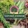 Natures Answer AlcoholFree Dong Quai Root 2000mg 1oz Extracts