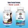 KALSuper Silica Plus  60 Tablets