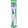 Boiron Arnica Montana 200X for Muscle Pain Stiffness Swelling from Injuries  Bruises  80 Pellets