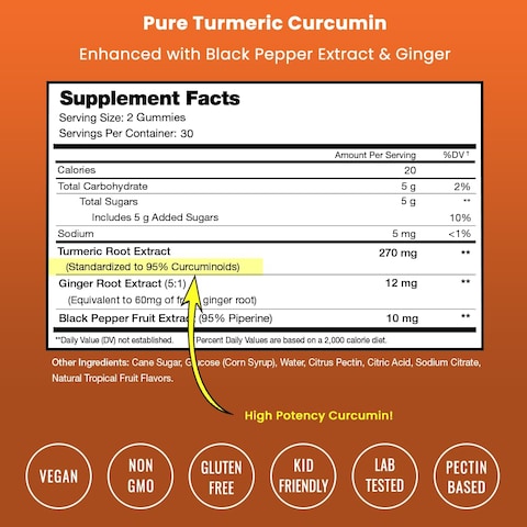 Turmeric Gummies for Adults  Kids with Ginger  Black Pepper Extract  95 Curcuminoids  Vegan Natural Curcumin Joint Support  120 Tumeric Gummy Supplements 2Pack of 60