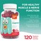 Chapter One Magnesium Gummies High Dose Magnesium for Kids Calm Kids Magnesium Magnesium Gummies for Women and Men Certified Kosher Raspberry 120 Count