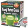Yamamoto YAMAKAN Barley Grass Powder 100 Green Superfood Japans Green Juice for Health  Vitality Rich in Vitamins  Minerals NonGMO Vegan 44 Sachet
