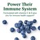 MegaFoodKids Multivitamin Gummies  Kids Vitamins  Age 4 with Vitamin C Vitamin D Zinc Choline and Real Fruit  Brain  Immune Support  Berrylicious Flavor  60 Gummies 30 Servings