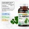 Cilantro Supplement  Cilantro Capsules  Rich Source of Antioxidants  Natural Cleansing  Detox  Cilantro Powder 100 Vegan Caps