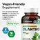 Cilantro Supplement  Cilantro Capsules  Rich Source of Antioxidants  Natural Cleansing  Detox  Cilantro Powder 100 Vegan Caps