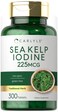 Carlyle Sea Kelp Iodine Supplement  225mcg  300 Tablets  NonGMO Gluten Free  Traditional Herb Supplement