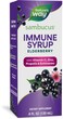 Natures Way Sambucus Elderberry Immune Syrup Daily Immune Support Black Elderberry Extract Vitamin C Zinc Echinacea Propolis 4 Fl Oz Packaging May Vary