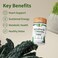 Snap Supplements USDA Organic Spirulina Chlorella Capsules  Green Superfoods for Natural Energy and Metabolic Health 120 Capsules