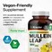 BIO KRAUTER Mullein Capsules for Lungs Detox 1200 mg  250 Respiratory Support Mullein Leaf Capsules  Vegan Mullein Supplement  Mullein Leaf Powder Caps  No GMOs  No Fillers