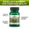 Swanson Oregano Oil 101 ExtractNatural Supplement Promoting Digestive HealthRespiratory  Urinary Tract Health Support 120 Softgels 150mg Each