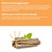 Ashwagandha Patch  Stress Relief Natural Mood Support Stress Energy and Focus Support Patch 60 Count
