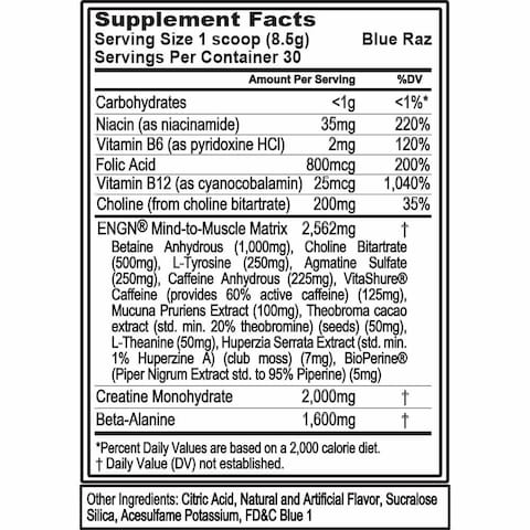 EVL Intense Pre Workout with Creatine  Pre Workout Powder Drink for Lasting Energy Focus and Recovery  ENGN Energizing Pre Workout for Men with Beta Alanine Caffeine and L Theanine  Blue Raz