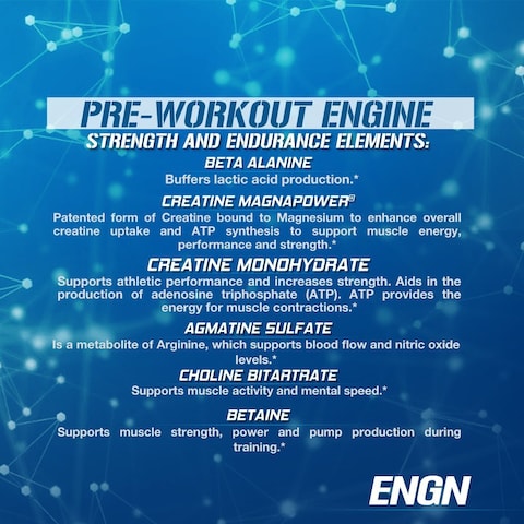 EVL Intense Pre Workout with Creatine  Pre Workout Powder Drink for Lasting Energy Focus and Recovery  ENGN Energizing Pre Workout for Men with Beta Alanine Caffeine and L Theanine  Blue Raz