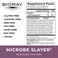 BIORAY Daily Microbe Slayer  2 fl oz  Promotes Balance of Intestinal Microbes  Nourishes The Liver  NonGMO Vegetarian Gluten Free