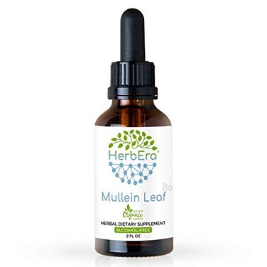 Mullein Leaf B60 AlcoholFree Herbal Extract Tincture SuperConcentrated Mullein Verbascum Densiflorum Dried Leaf 2 fl oz