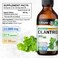 Cilantro Supplement  Cilantro Tincture  Rich Source of Antioxidants  Natural Cleansing  Detox Cilantro Extract  Vegan Alcohol Free Cilantro Drops 4 FlOz