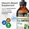 Cilantro Supplement  Cilantro Tincture  Rich Source of Antioxidants  Natural Cleansing  Detox Cilantro Extract  Vegan Alcohol Free Cilantro Drops 4 FlOz