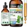 Cilantro Supplement  Cilantro Tincture  Rich Source of Antioxidants  Natural Cleansing  Detox Cilantro Extract  Vegan Alcohol Free Cilantro Drops 4 FlOz