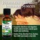 Natures Answer Oil of Oregano Leaf  Supports Healthy Intestinal  Digestive Function  Promotes Overall Good Health and Wellness  GlutenFree AlcoholFree  No Preservatives 1oz